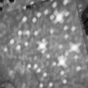 Meet your Posher, Berenice